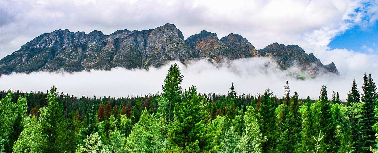 절강중리합성재료기술유한회사
